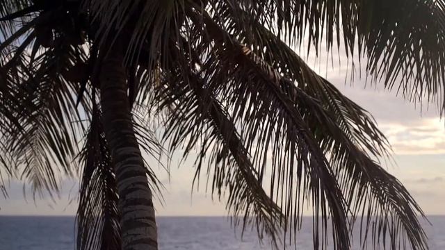 Top 10 Reggae Songs Mix 2021 смотреть онлайн