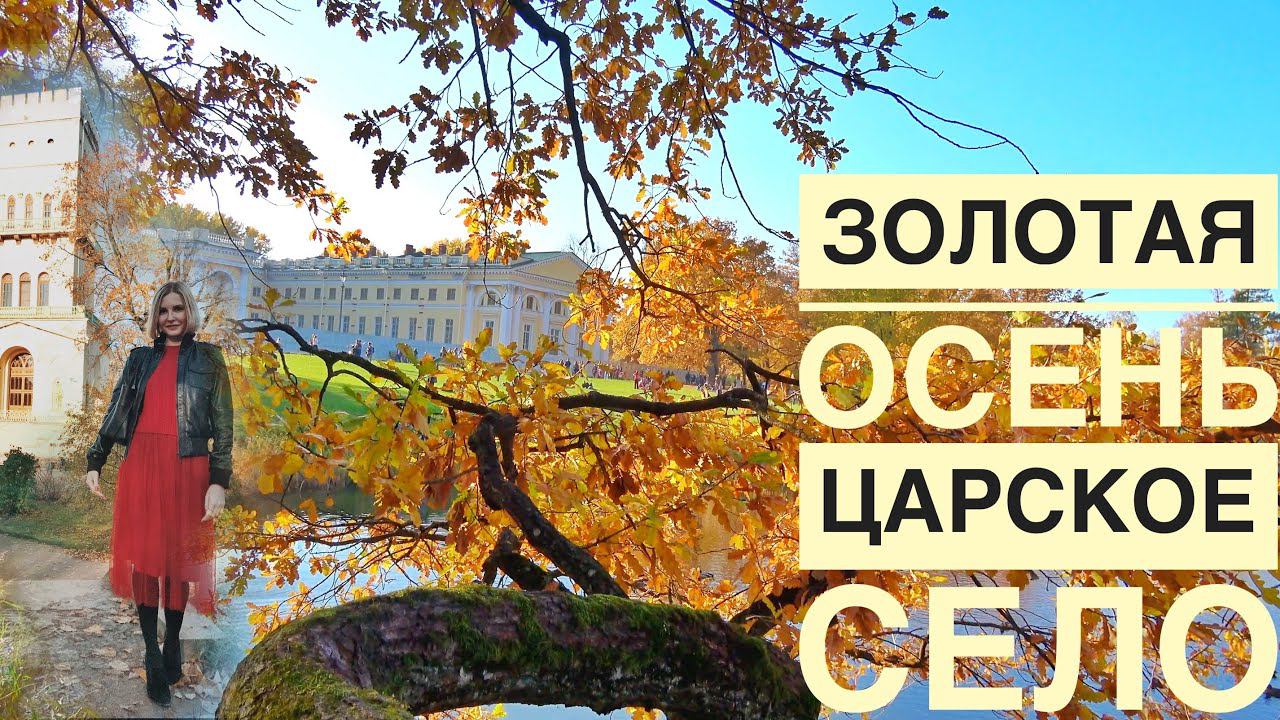 Царское село Александровский парк Золотая осень в Петербурге| #Авиамания