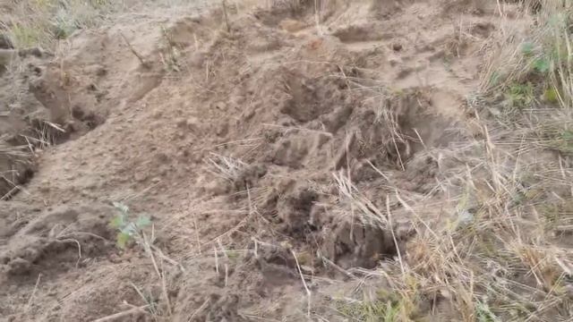 Коп в поле. Интересная яма,много битых горшков. смотреть онлайн