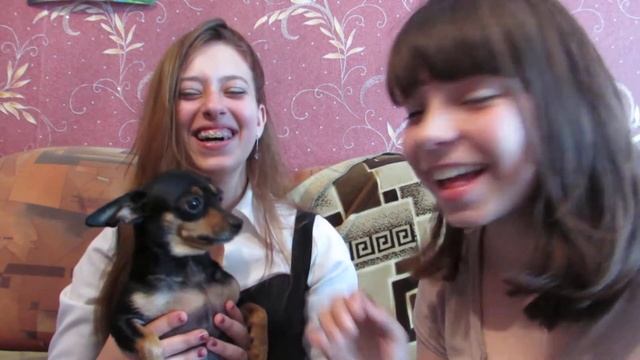 Что делать если на тебя нападает СОБАКА!!!!!!!! смотреть онлайн