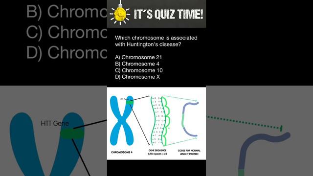 Which chromosome is associated with Huntington's disease? смотреть онлайн