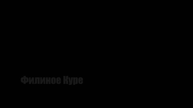 gavrilina - ЖУ ЖУ Клип - Из Слов МастерШеф Дети И Гугл Переводчика смотреть онлайн