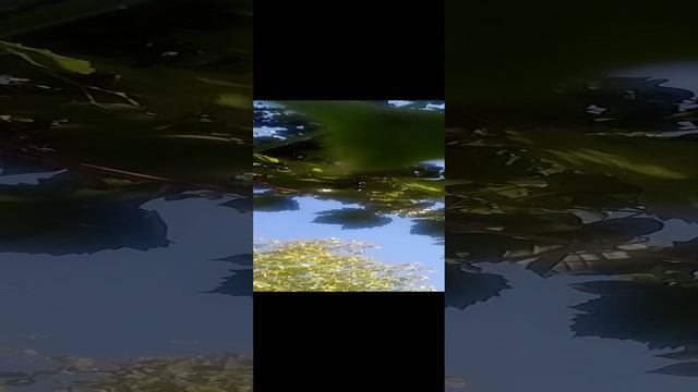 20240815_155847.mp4 смотреть онлайн