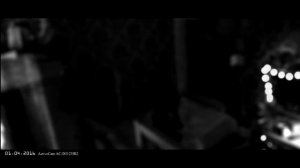 Видео со скрытой камеры вписки Дианы Шурыгиной