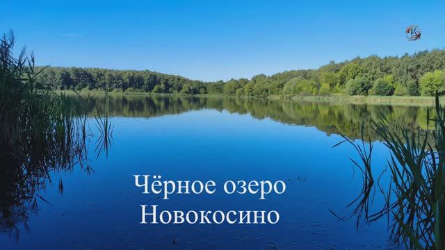 Рыбалка, Чёрное Озеро Новокосино, Маховая удочка, Насадка червь, ловля карася. Fishing (1) смотреть онлайн