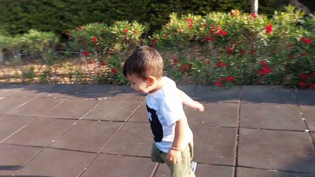 Karşıyaka parkı. прогулка в парке, дети называют этот парк "maymun parkı" смотреть онлайн