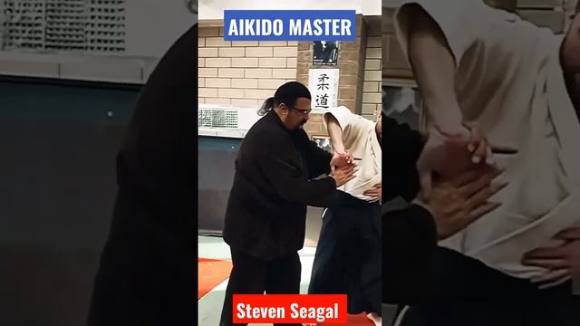 AIKIDO MASTER STEVEN SEAGAL смотреть онлайн