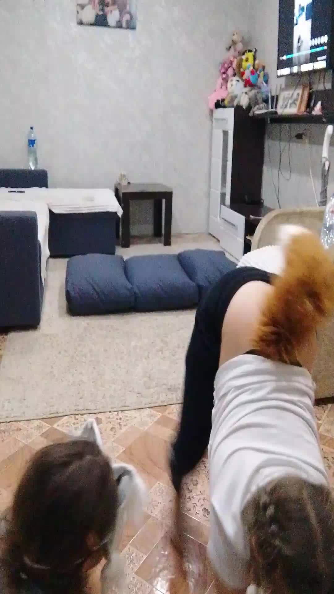 маленькие лисята в больших охотников