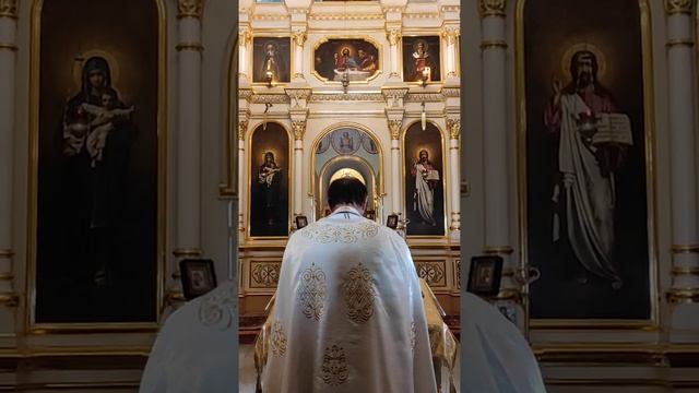 Доброе время суток всем всем всем и пусть у Вас всегда в Друзьях будут Здоровье Любовь и Счастье! смотреть онлайн