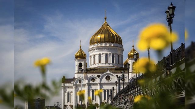 ТАЙНОЕ ПРИЗНАНИЕ СВЯЩЕННОСЛУЖИТЕЛЯ ОТЦА СЕРГИЯ ! ОКОЛОСМЕРТНЫЙ ОПЫТ#околосмертныйопыт#духовныймир смотреть онлайн