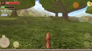 играю в симулятор белки 2