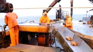 ЛОВЛЯ КРАБА В ОХОТСКОМ МОРЕ СУДНО "ИВНИНГ СТАР" 2018