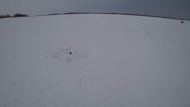 Не спеша расставил комбайны и опустил безмотылку!!Рыбалка 2020, Обь,лещ,окунь,плотва. смотреть онлайн