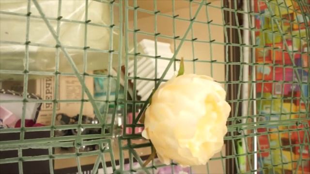 Сетка для цветочного панно с Китая алиэкспресс Твары с aliexpress декор свадьба дом смотреть онлайн