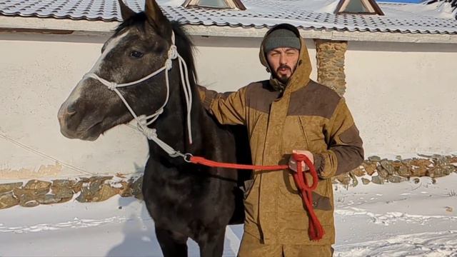 Веревочный недоуздок, почему именно им я пользуюсь? смотреть онлайн