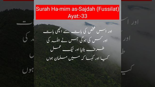 Surah Ha-mim as-Sajdah (Fussilat) Ayat #33 Urdu translation #quran #quranrecitation #islam #allah смотреть онлайн