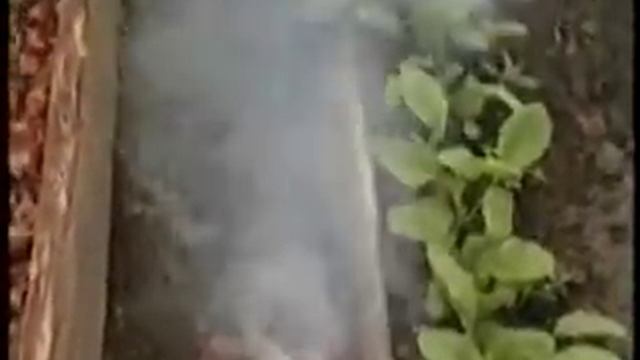 подкормка Парник смотреть онлайн