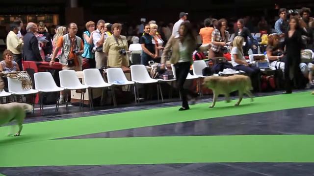 Чемпионат Франции (ЧМ 2011)