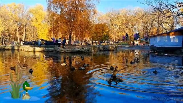 Осень осень золотая осень смотреть онлайн