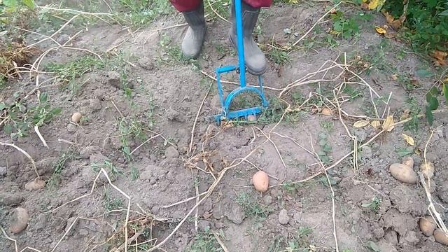 САМОДЕЛЬНАЯ ЧУДО ЛОПАТА ДЛЯ ВЫКАПЫВАНИЯ КАРТОФЕЛЯ смотреть онлайн