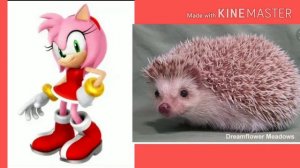 Как бы выглядели герои из Соника если бы они были животными в реальной жизни!!!!!!!!