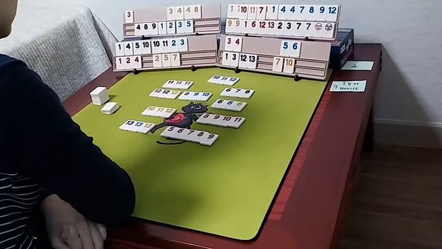 Let's master Rummikub with the championship winner - offline 88 смотреть онлайн