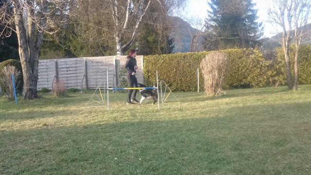 Bliss links rechts und in. 15. April 2020 смотреть онлайн