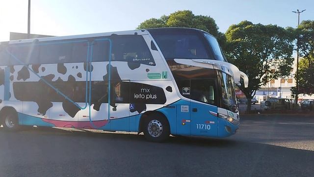 DD Da útil Tema Vaquinha Em Uberaba -mg