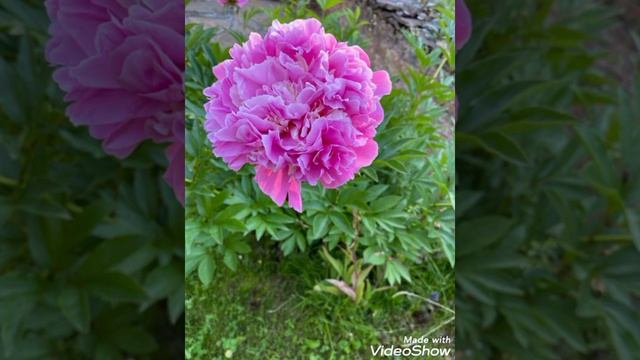 Слово иеромонаха Кирилла (Зинковского) в Вехно в День всех русских святых смотреть онлайн