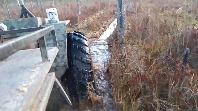 Прокатились за клюквой на болото на вездеходе смотреть онлайн