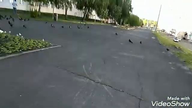 Катание на самокате смотреть онлайн