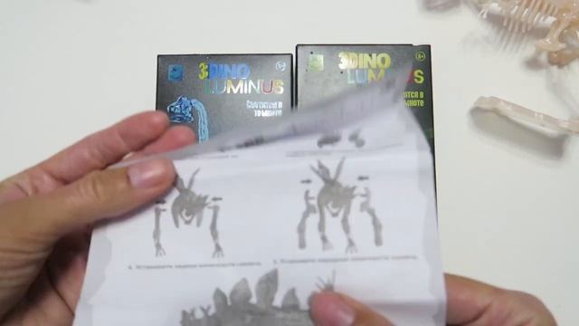 Конструктор - сборная люминесцентная модель скелета динозавра 