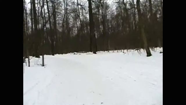 Лыжная трасса на 5 км Лыжное будущее Москвы, видео Толстиков Игорь лыжный клуб Измайлово смотреть онлайн