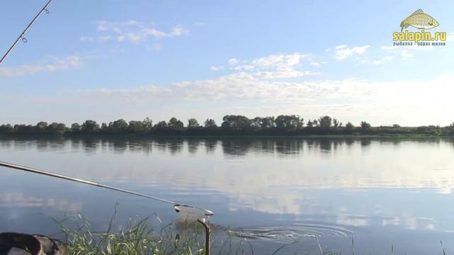 Крупный лещ на Оке на фидер. Мечта там, где ты ловишь. День второй. [salapinru] смотреть онлайн