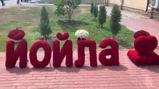Дала декъал йойла хьо смотреть онлайн