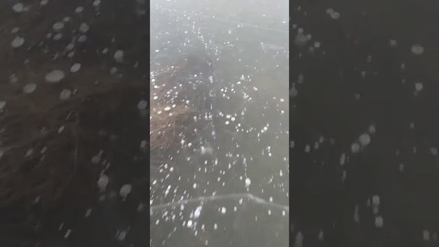 Ондатра с Николаем Дроздовым))) смотреть онлайн