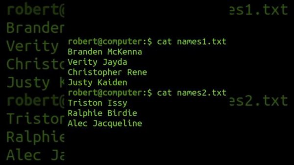 The 'cat' Command In Linux