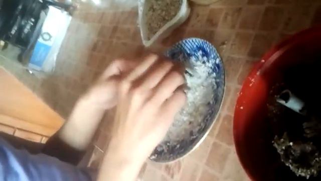Как делать сыроедческие конфетки. Вкусно и полезно смотреть онлайн