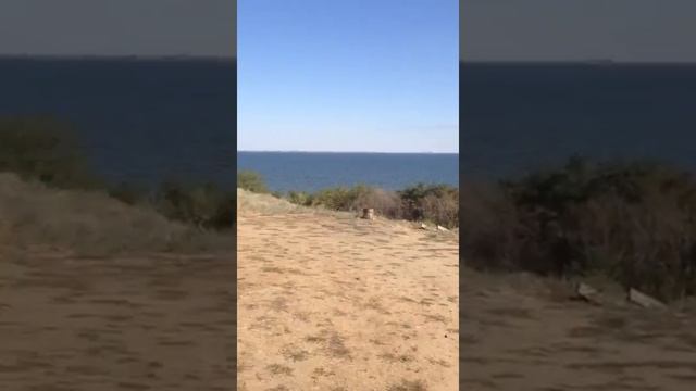 Неповторимый участок на берегу Волги, 20 соток, первая береговая линия смотреть онлайн