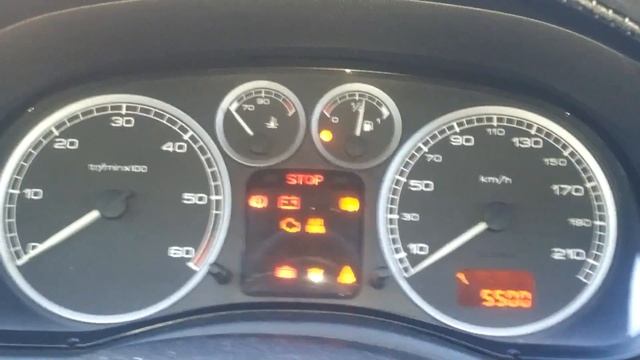 PEUGEOT 307 2.0 HDI 110hp COLD START -14°C смотреть онлайн