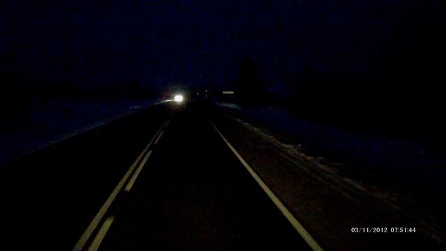 Дикие животные. Лоси. смотреть онлайн