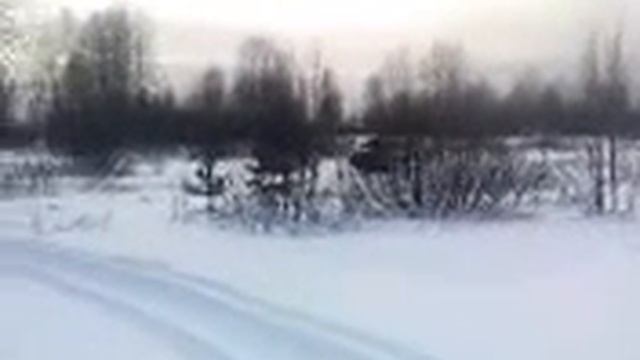 чёрная акула смотреть онлайн