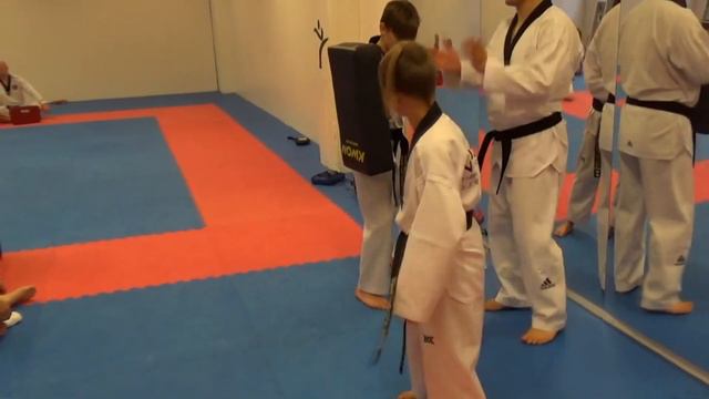 [Applications of Koryo poomsae] 고려품새 실전응용 смотреть онлайн