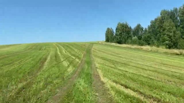 как красиво уйти мимо поворота #природа #деревня #лес #нива #нивашествие смотреть онлайн