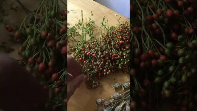 Плетение венка, МК, часть 1 смотреть онлайн