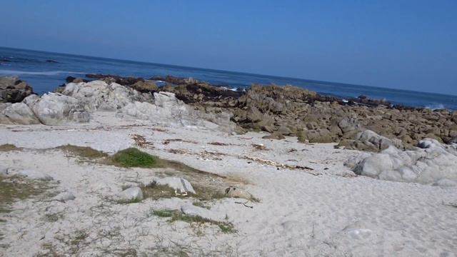 МОНТЕРЕЙ(КАЛИФОРНИЯ)Едем Вдоль Тихого Океана.16/8/18 смотреть онлайн