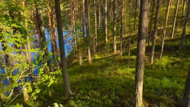 SOULFUL PIANO Relaxing Music, Meditation Music, Sleeping Music, Spa Music, Study Music, Insomnia ☯0 смотреть онлайн