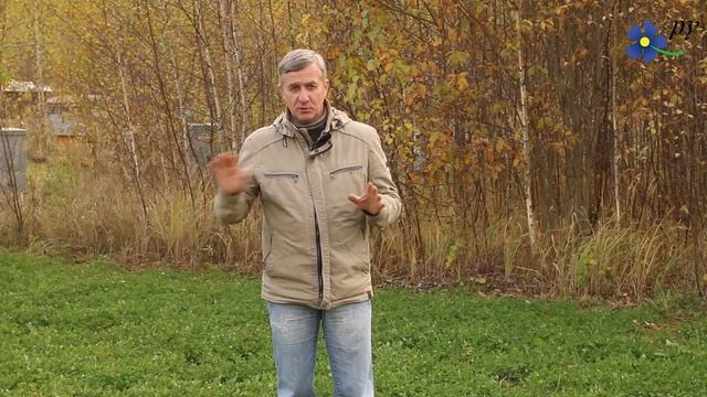 Как мы избавились от крапивы смотреть онлайн