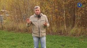 Как мы избавились от крапивы