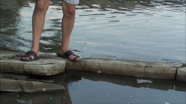 Сметаны: с.Белая церковь (Закарпатье)